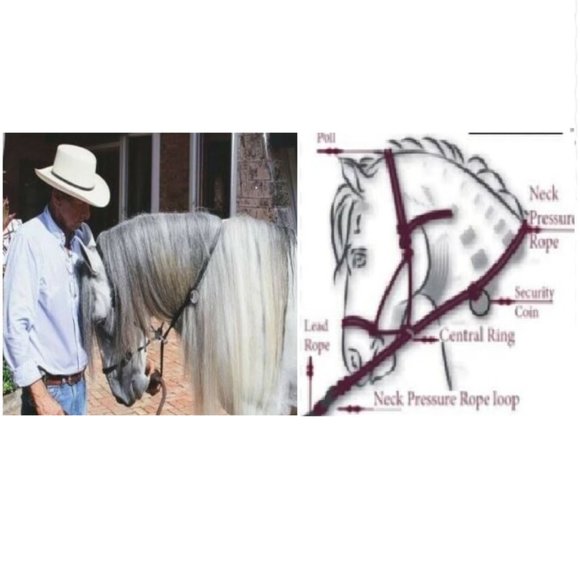 Sierra Horse Halter, The Original Gentle Training Tool #horsetack -FAR012- - Picture 3 of 5
